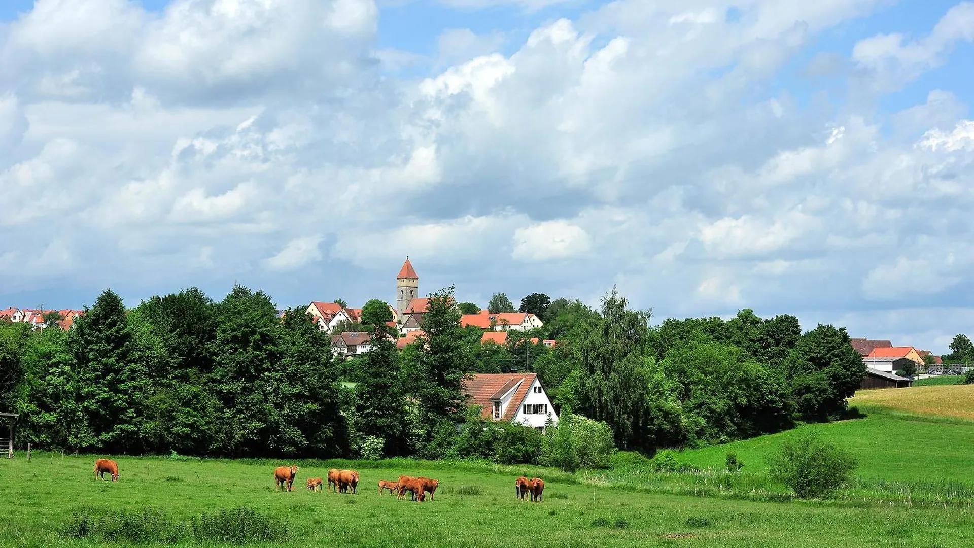 Apartment Ferienwohnungen Gansser Dinkelsbuehl